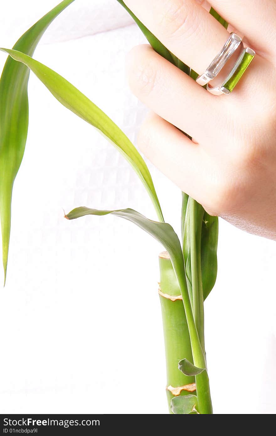 Hand with ring and plant over white background. Hand with ring and plant over white background