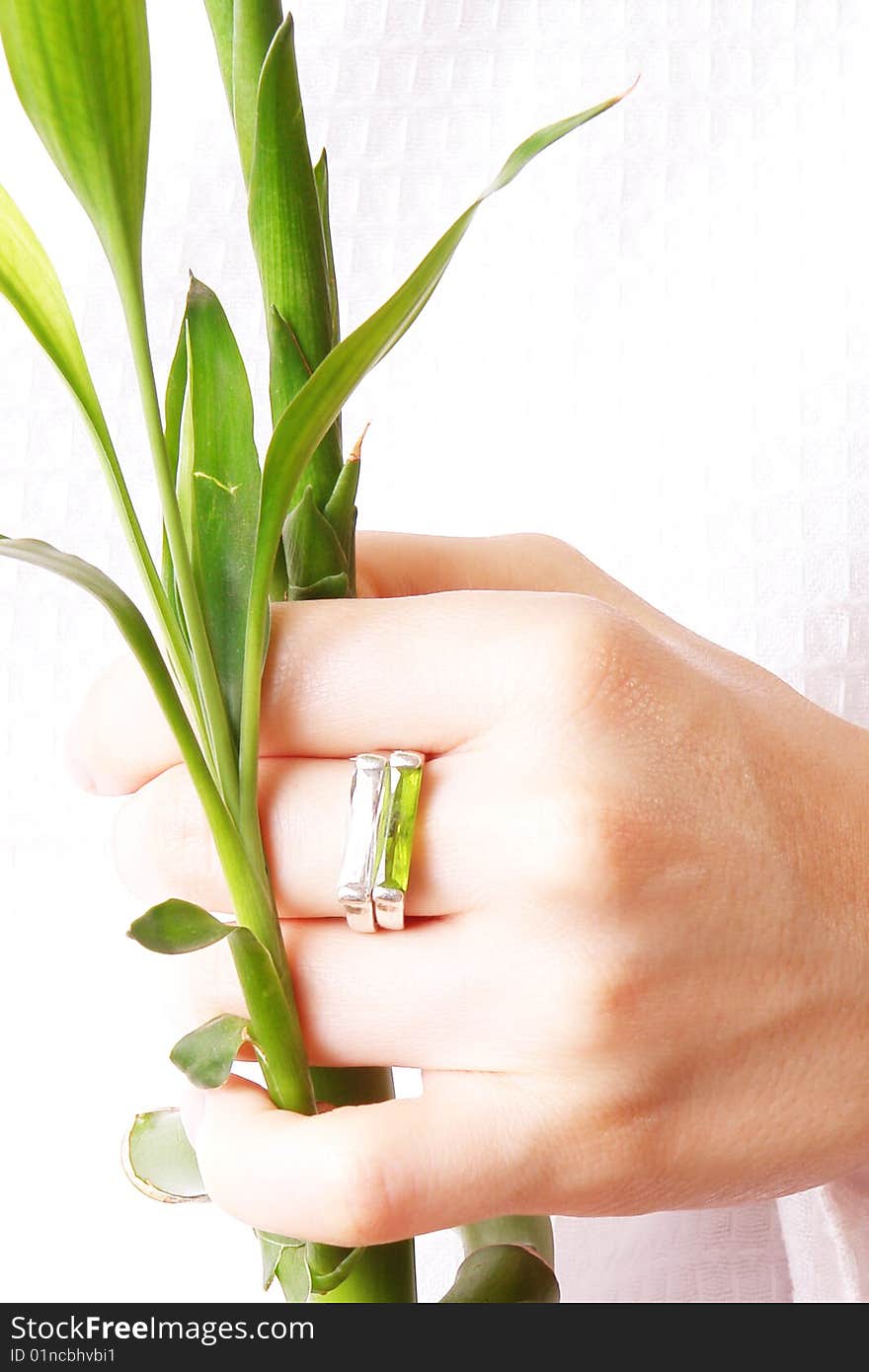 Hand with ring and plant over white background