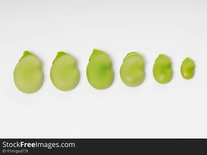 Various measures of fresh beans