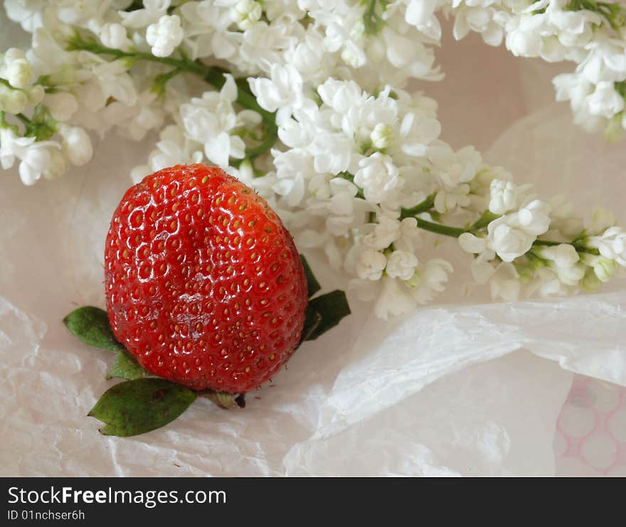 Branch of white lilac and strawberry