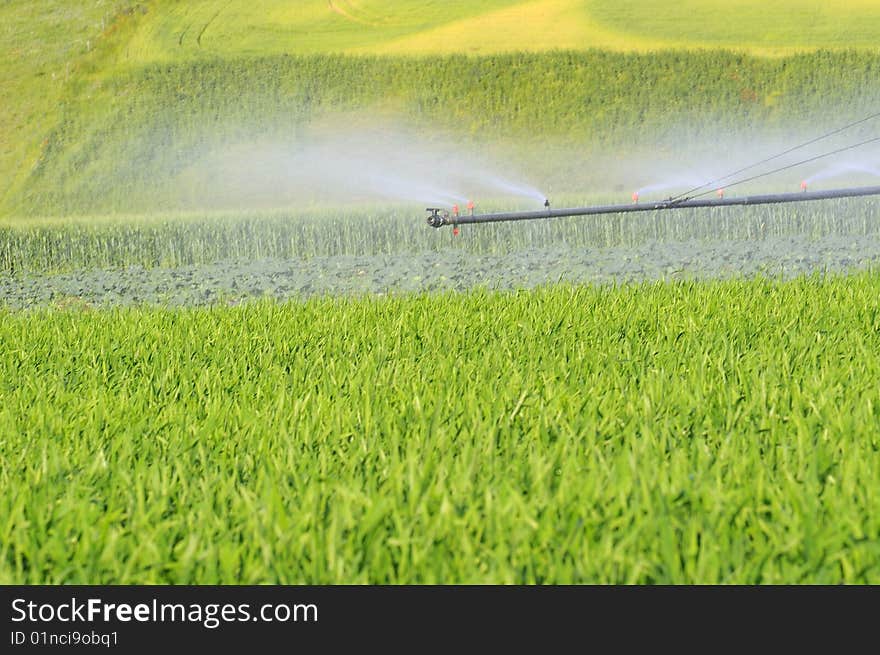 Irrigation in green backgorund