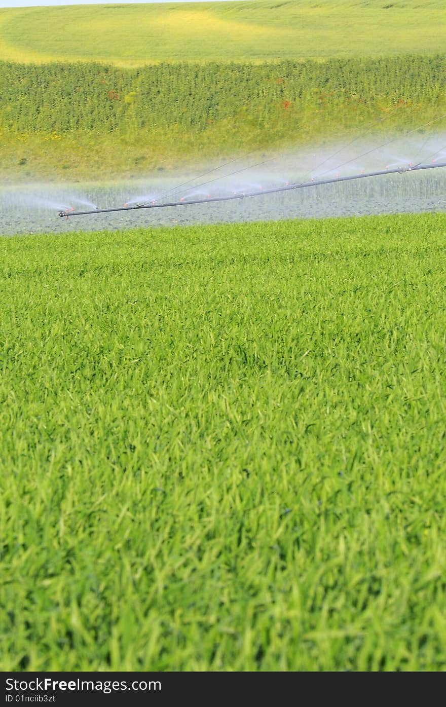 Irrigation In Green Backgorund