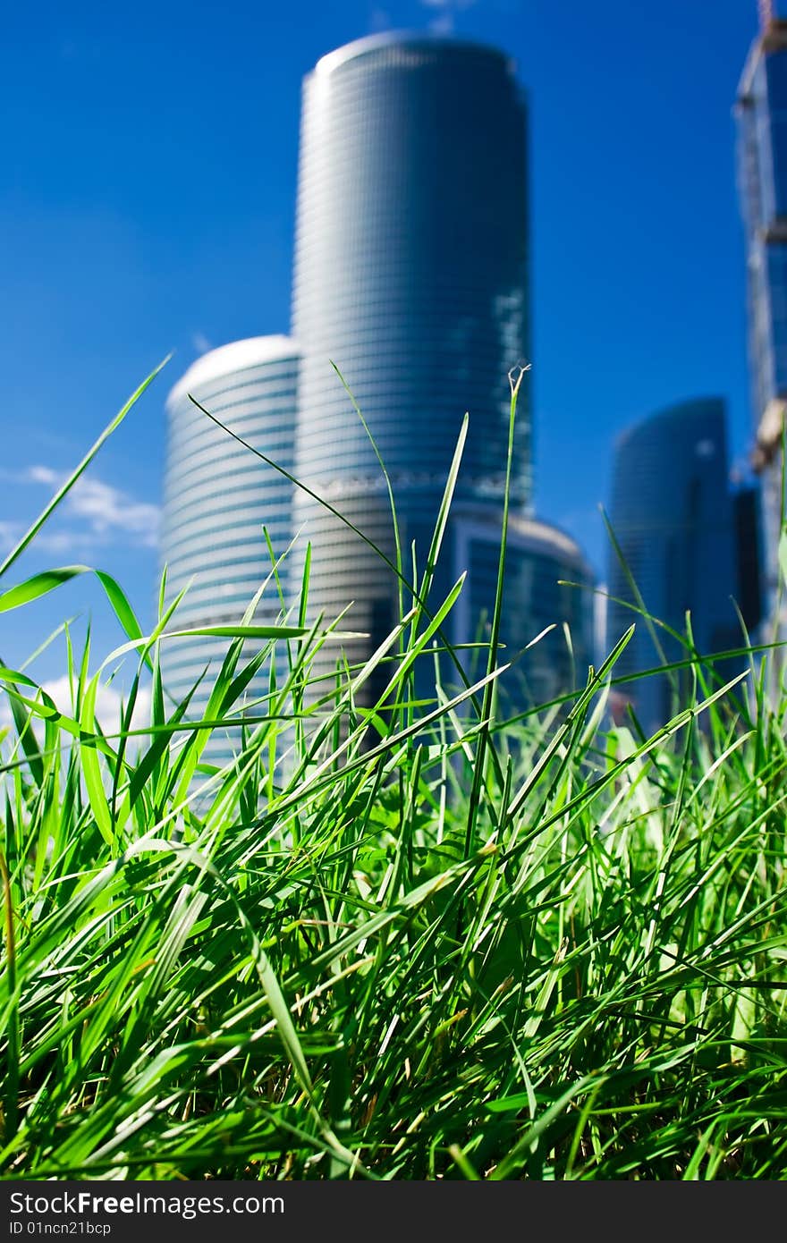 New skyscrapers business center and green grass. New skyscrapers business center and green grass