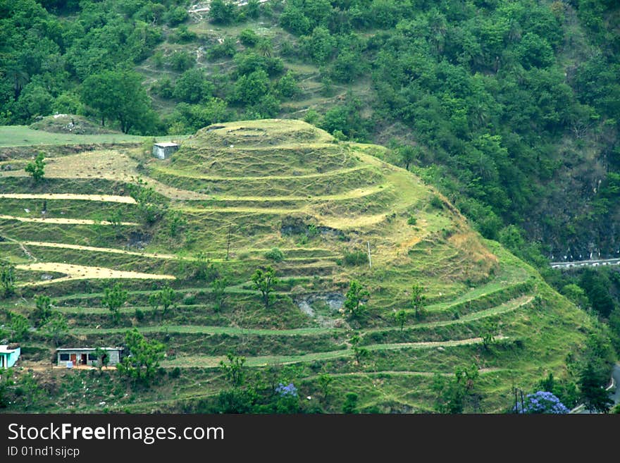 Hilly landscape step cut to prevent soil erosion and facilitate habitation. Hilly landscape step cut to prevent soil erosion and facilitate habitation