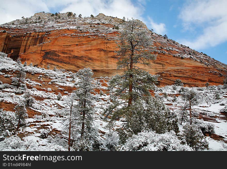 Snowfall At Zion