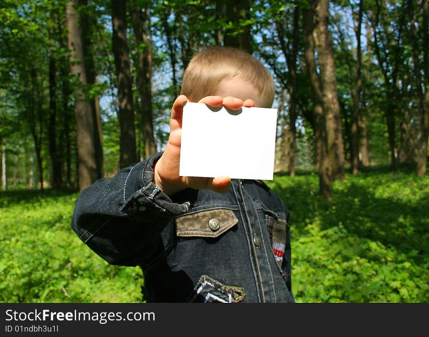 A card blank in a hand