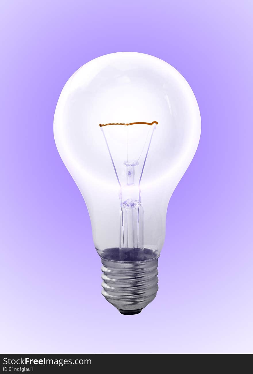 Bulb on a white background. Bulb on a white background