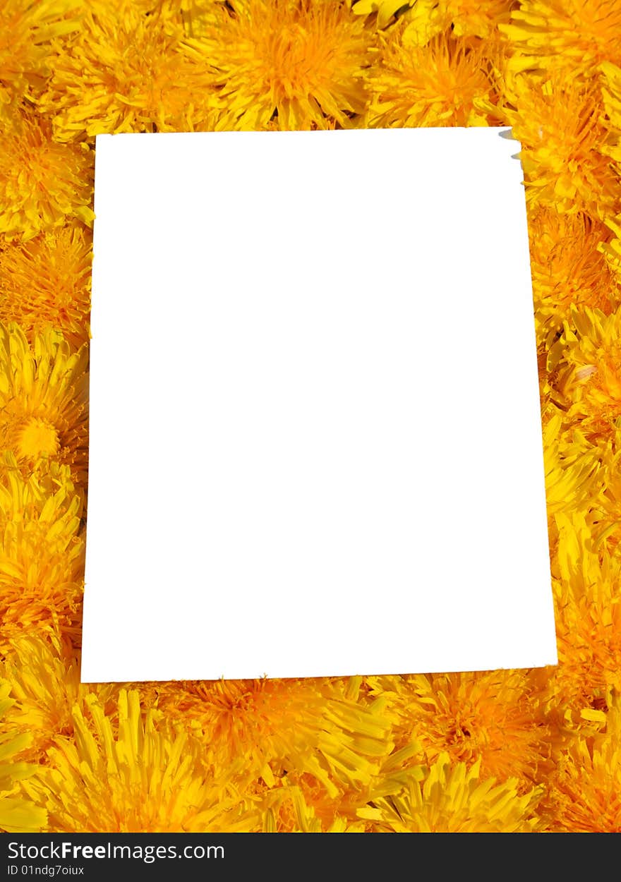 Card blank on the flower