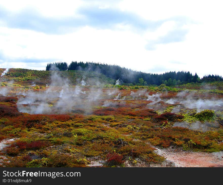 Geothermal Activity of Hell's Gate (between Rotorua and Taupo), New Zealand. Geothermal Activity of Hell's Gate (between Rotorua and Taupo), New Zealand