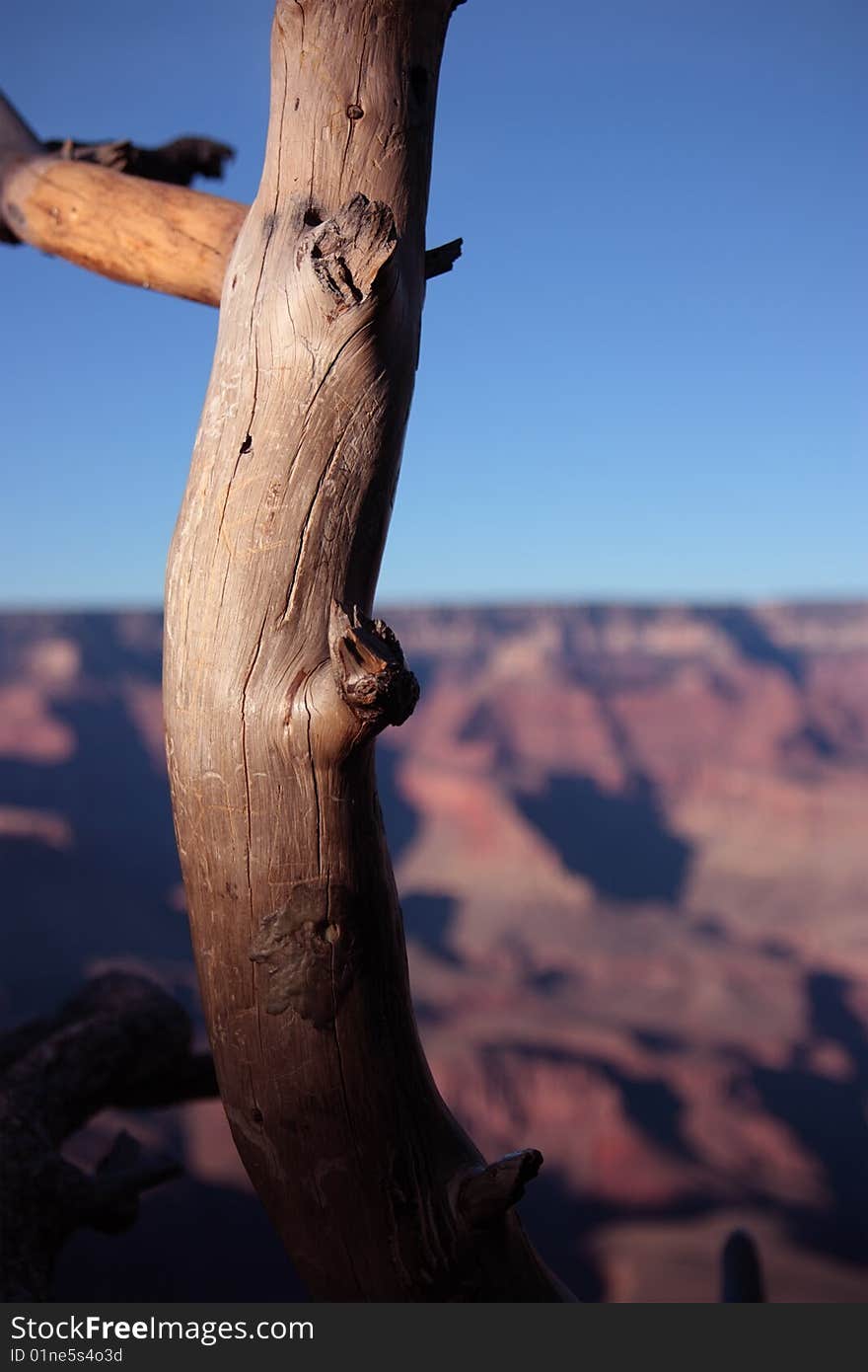 Close-up of a branch with the Grand Canyon on the background, Arizona (USA). Close-up of a branch with the Grand Canyon on the background, Arizona (USA)