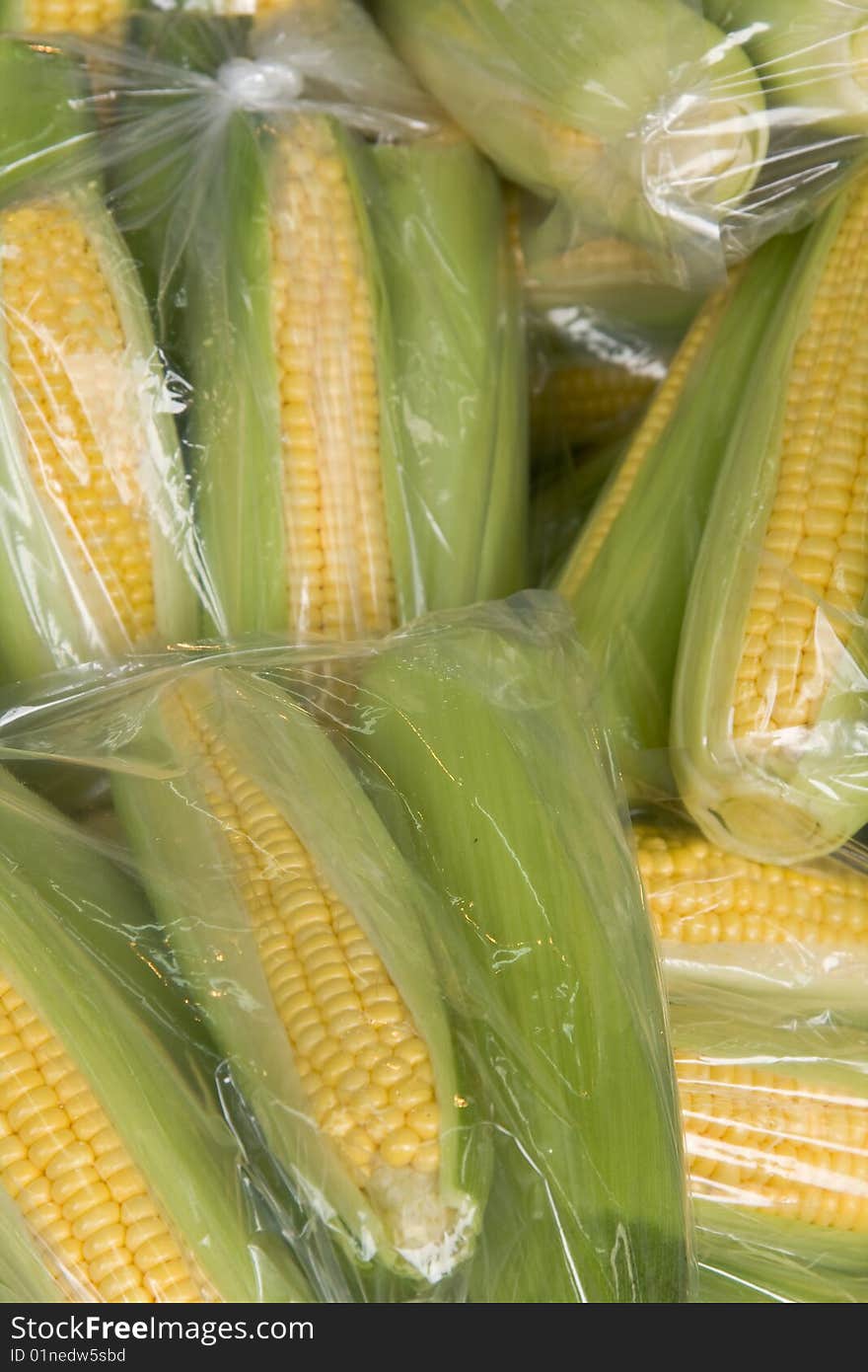 Sweet Corn