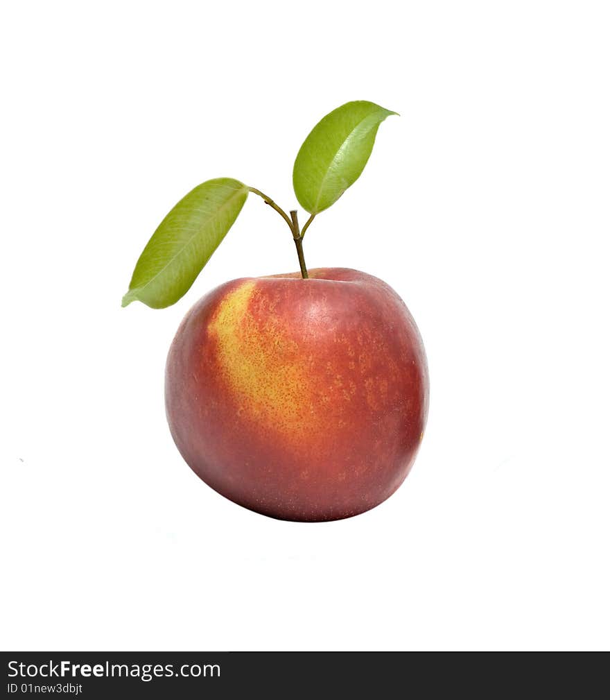 Nectarine