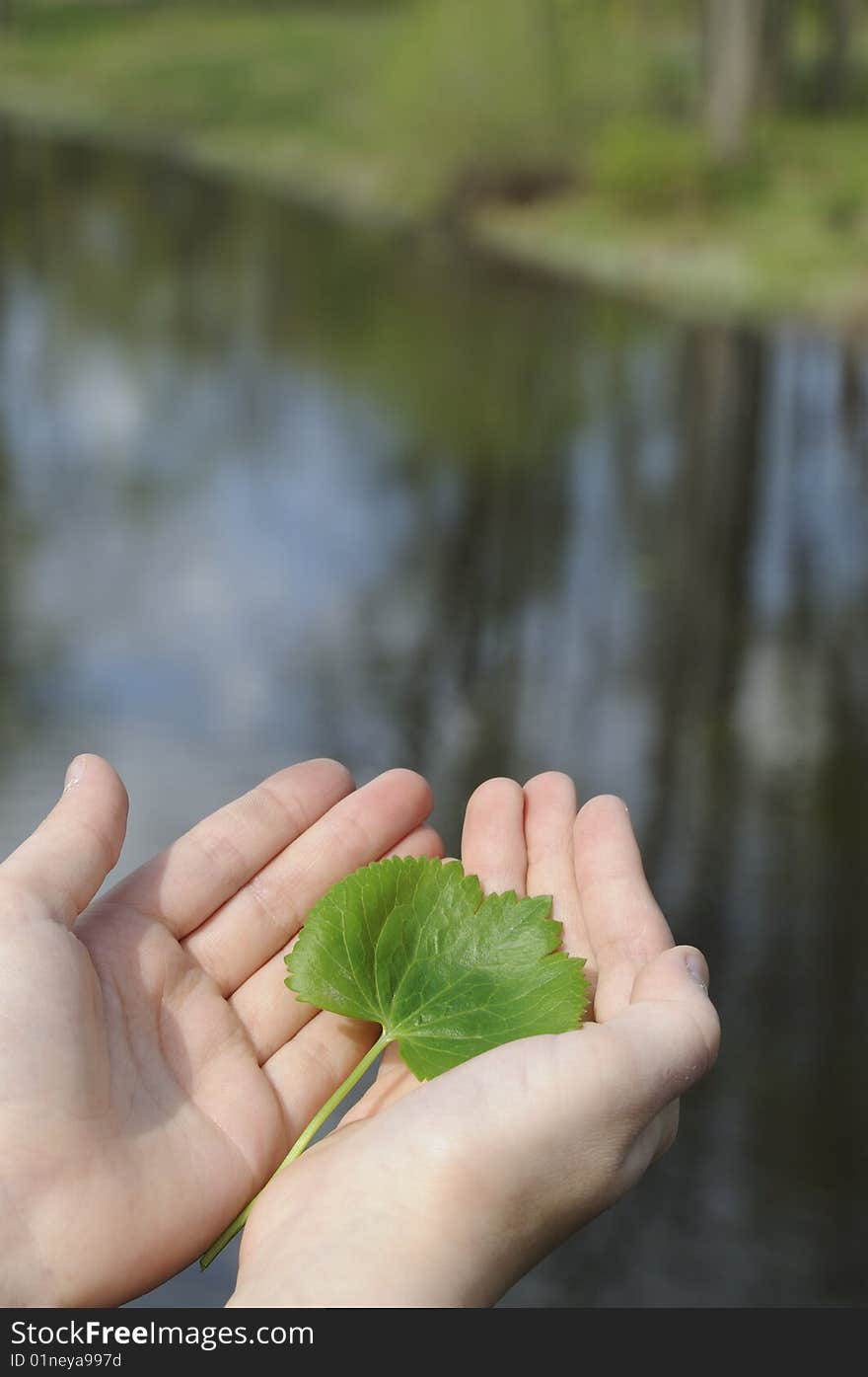 Girl holding a leaf in natural environment