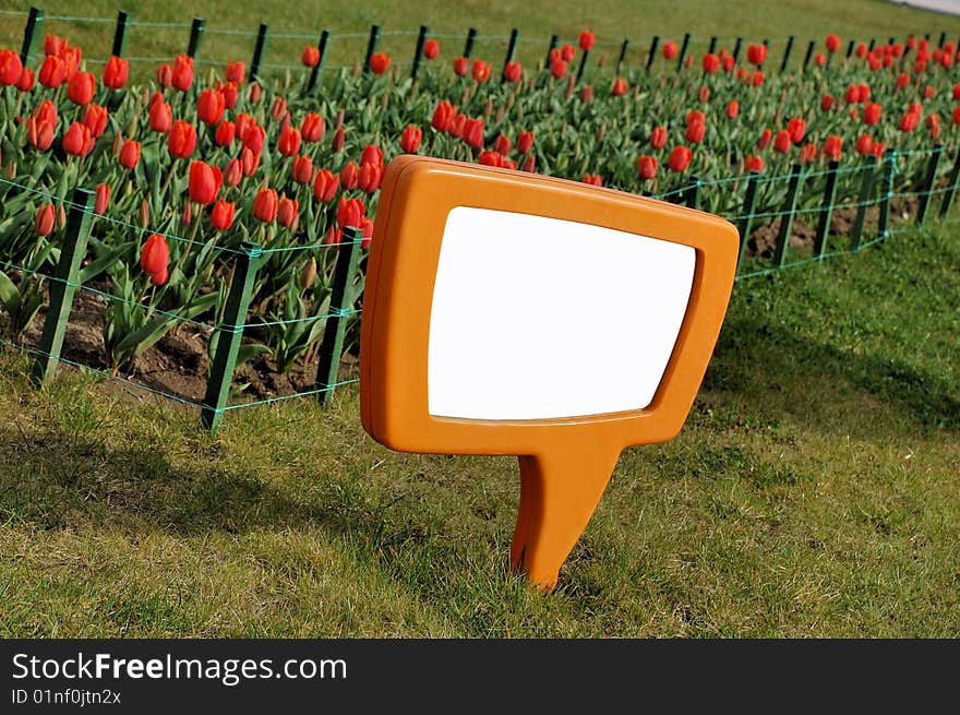 Tulip garden in spring - message board