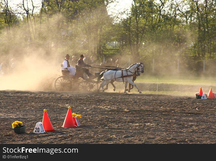 Two horse drawn carriage in a competition