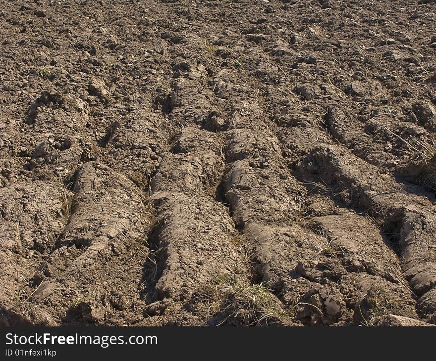 Freshly plowed field