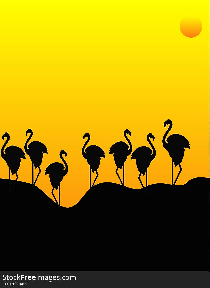 Silhouette of flamingos enjoying as the sun goes down for the day. Silhouette of flamingos enjoying as the sun goes down for the day...