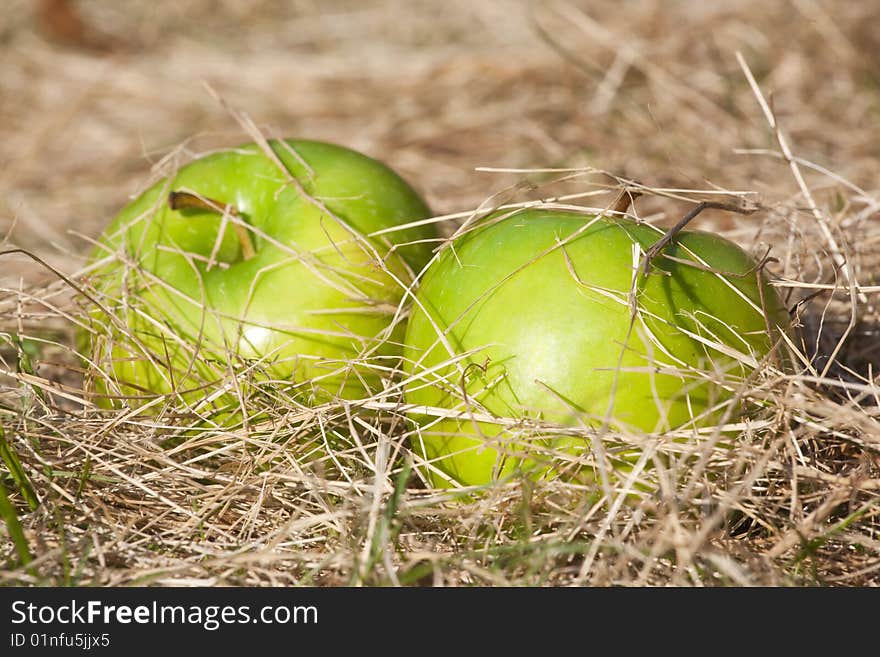 Green apples