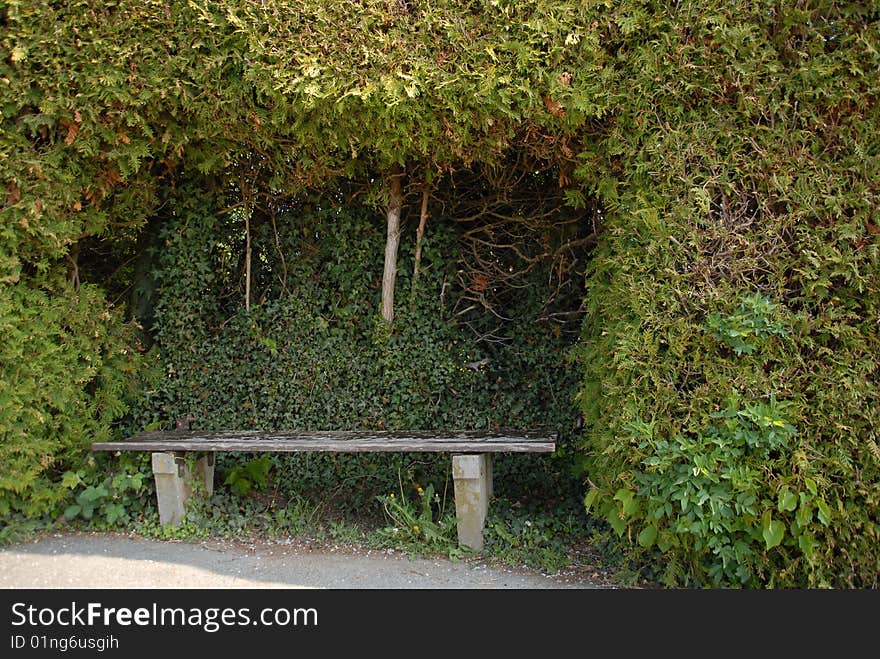 Romantic bench in a hedge