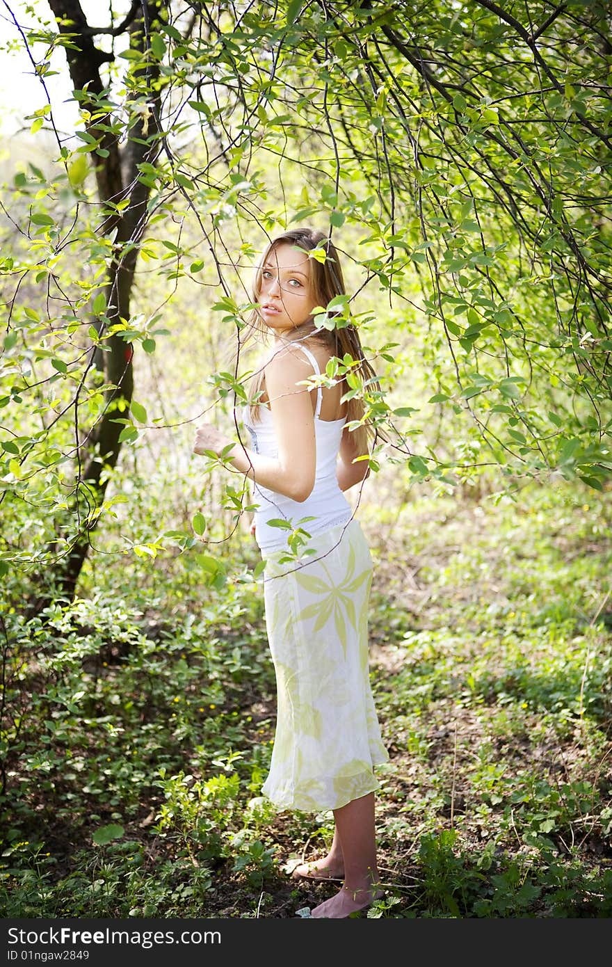 Portrait of a beautiful young lady in natural background