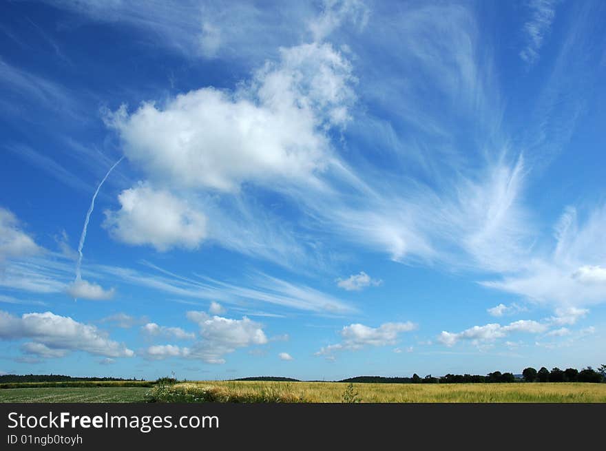 Blue sky on wheat field