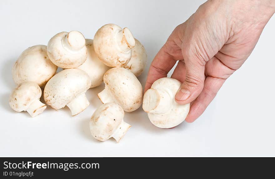 Woman's  hand taking fresh mushroom. Woman's  hand taking fresh mushroom