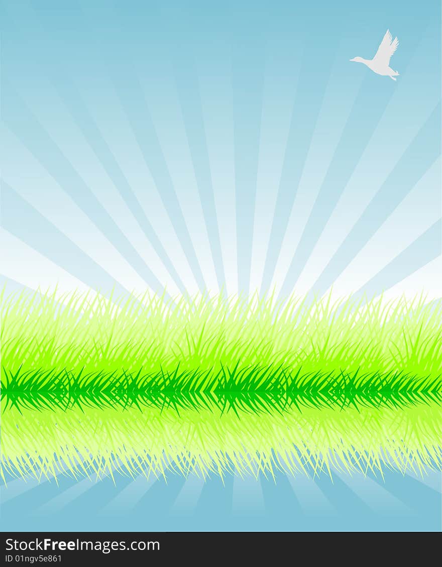 Green grass vector illustration background