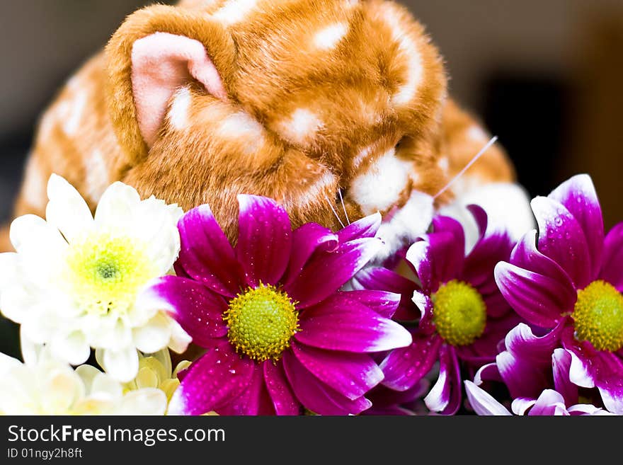 Toy-cat sniffing beautiful flowers. Toy-cat sniffing beautiful flowers