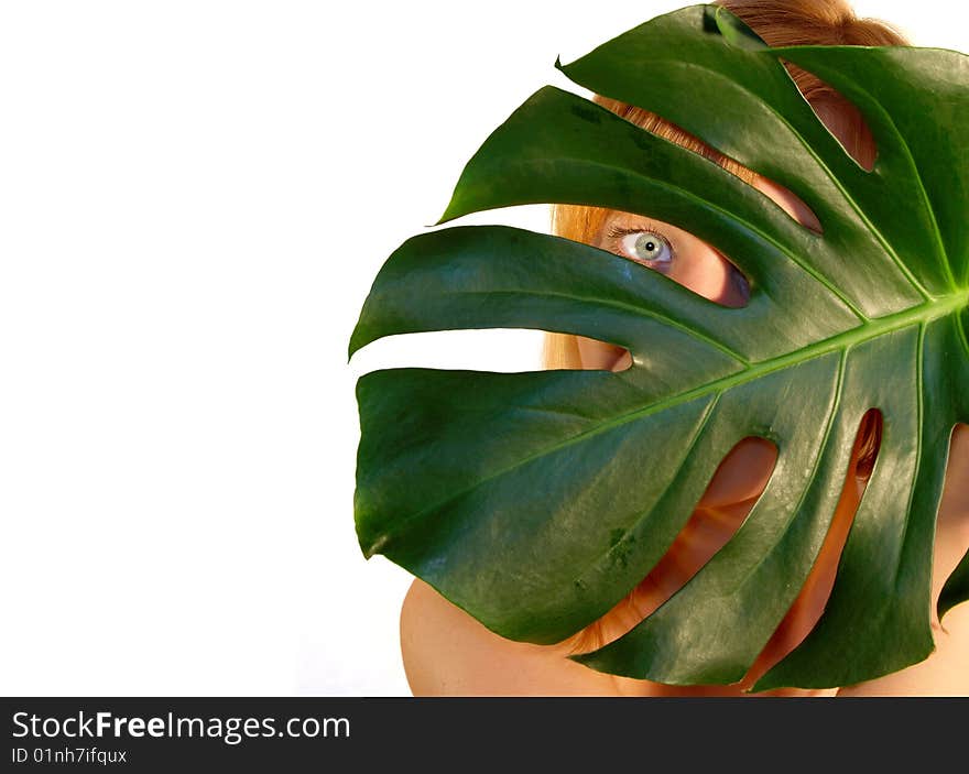 Girl looking through the big leaf on white background. Girl looking through the big leaf on white background