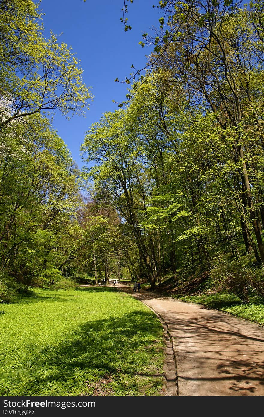 Walk in park during spring time