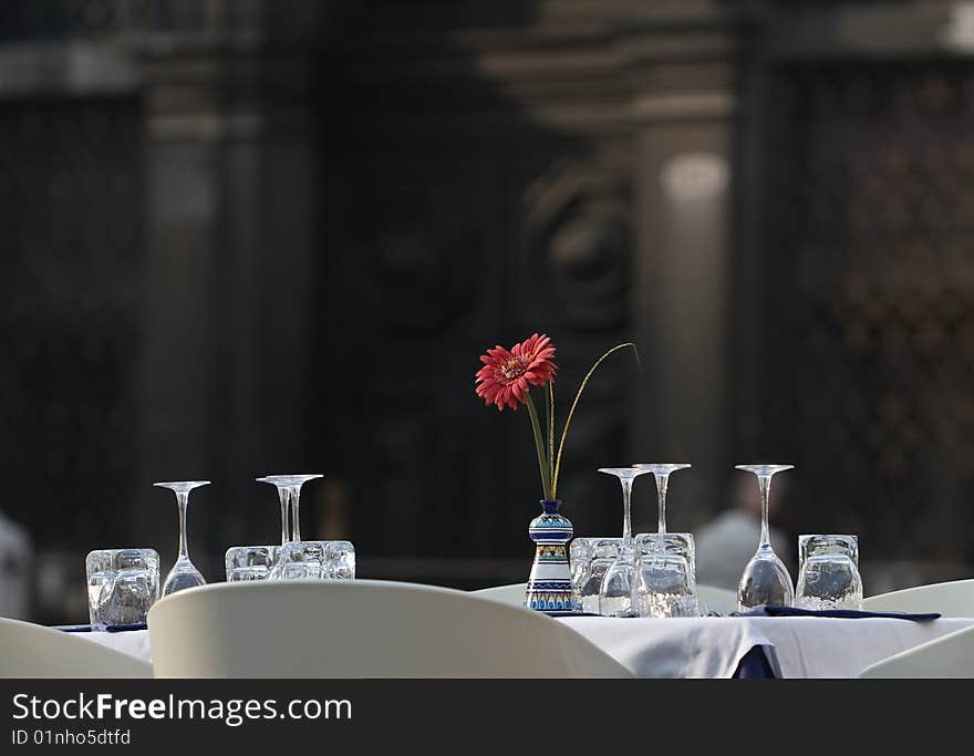 Covered with a table. Outdoor restaurant. Aster in vase