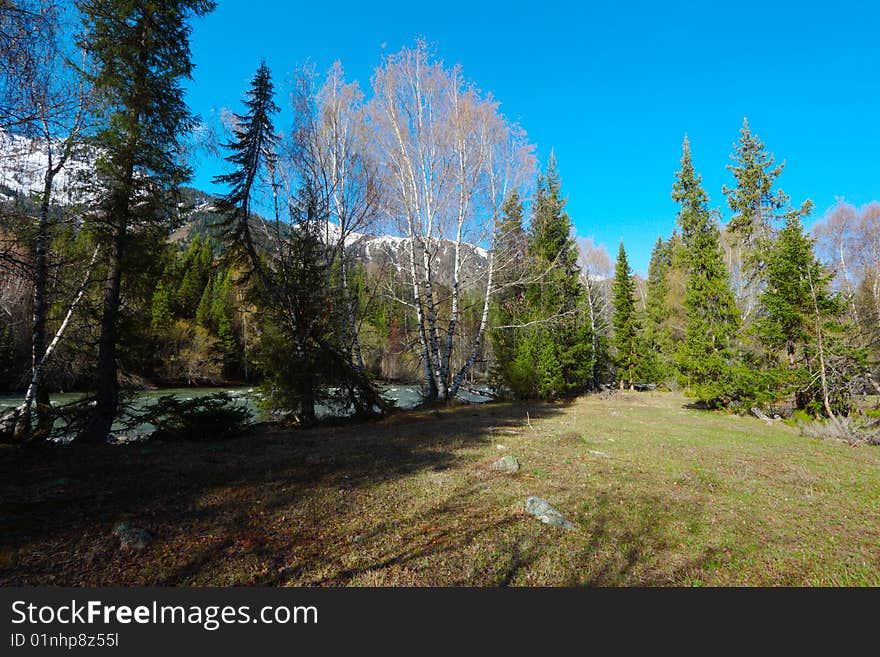 Mountain landscape