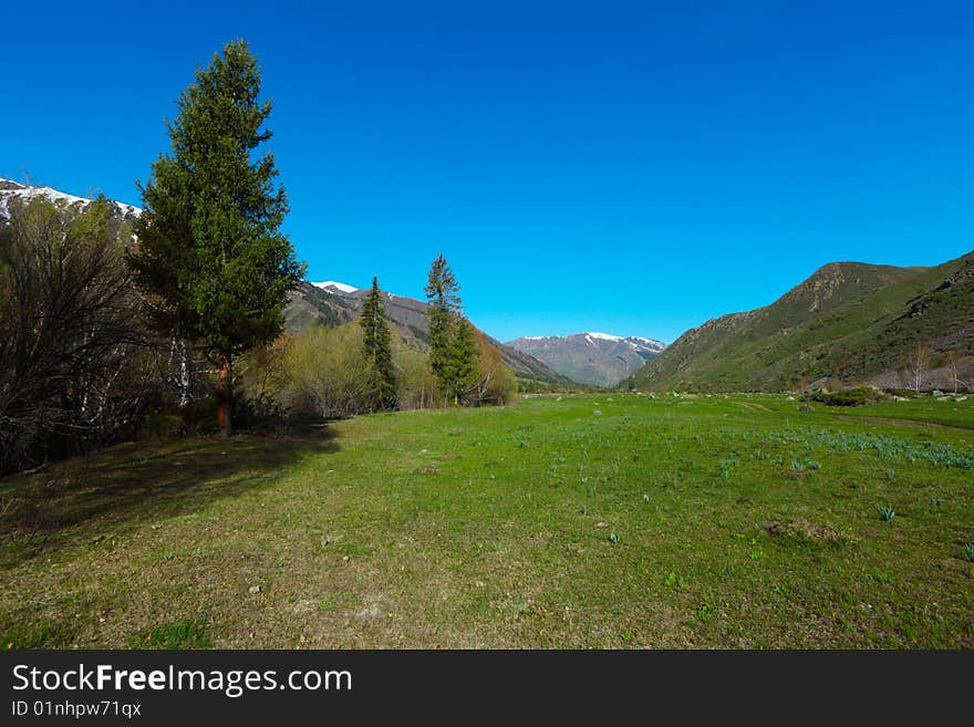 Mountain landscape