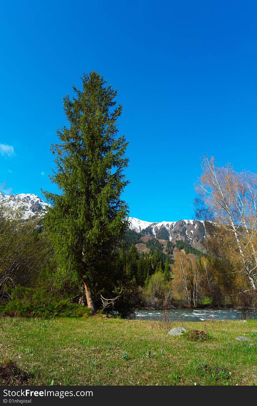 Mountain landscape