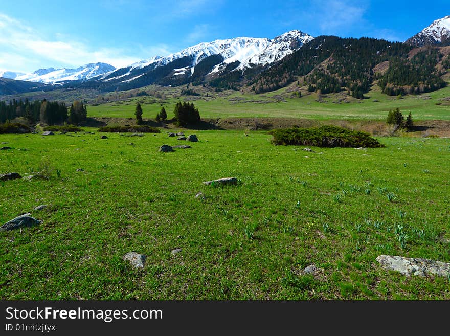 Mountain landscape