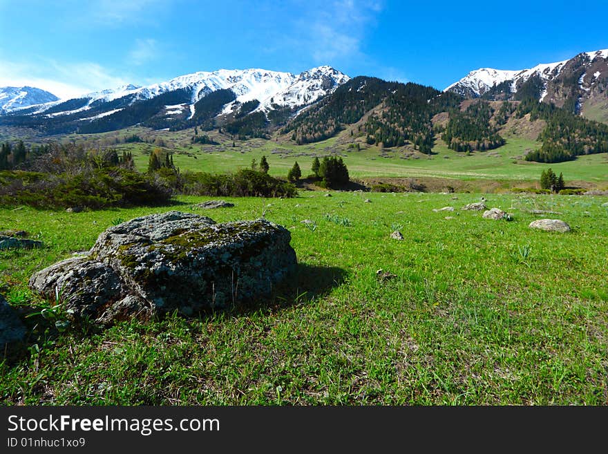 Spring a landscape in mountains. Spring a landscape in mountains