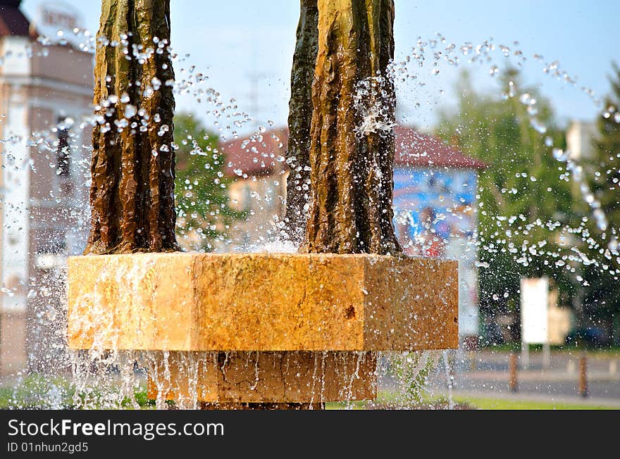 Detail Of Fountain