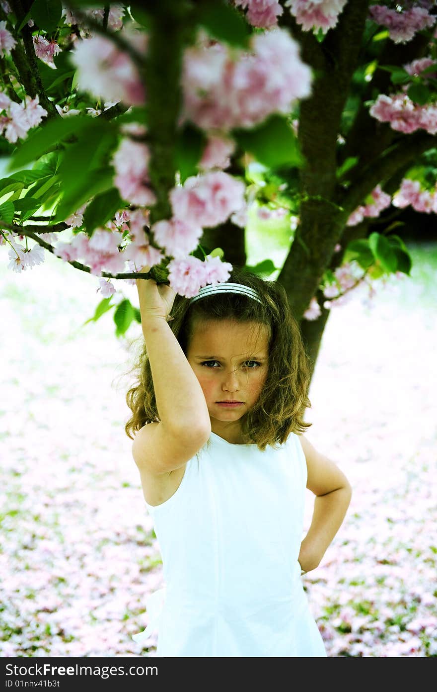 Cute little girl holding a branch of a tree. Cross-processed. Cute little girl holding a branch of a tree. Cross-processed