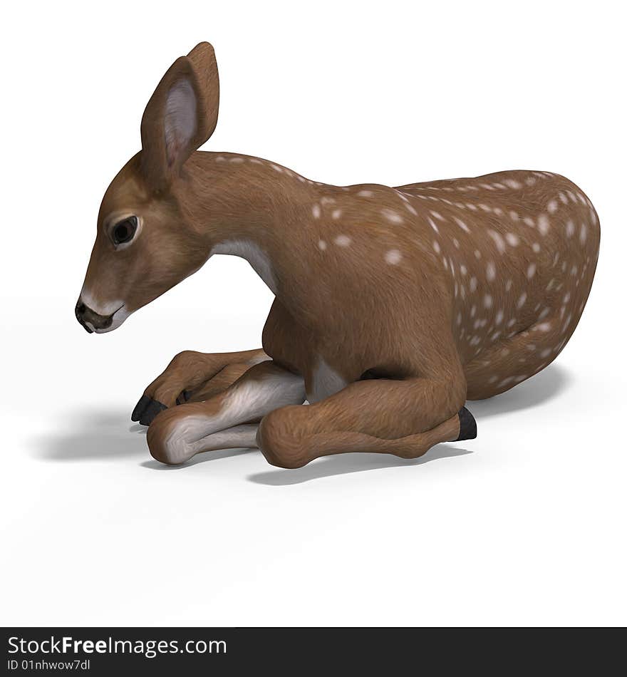 Young doe or fawn With Clipping Path and shadow