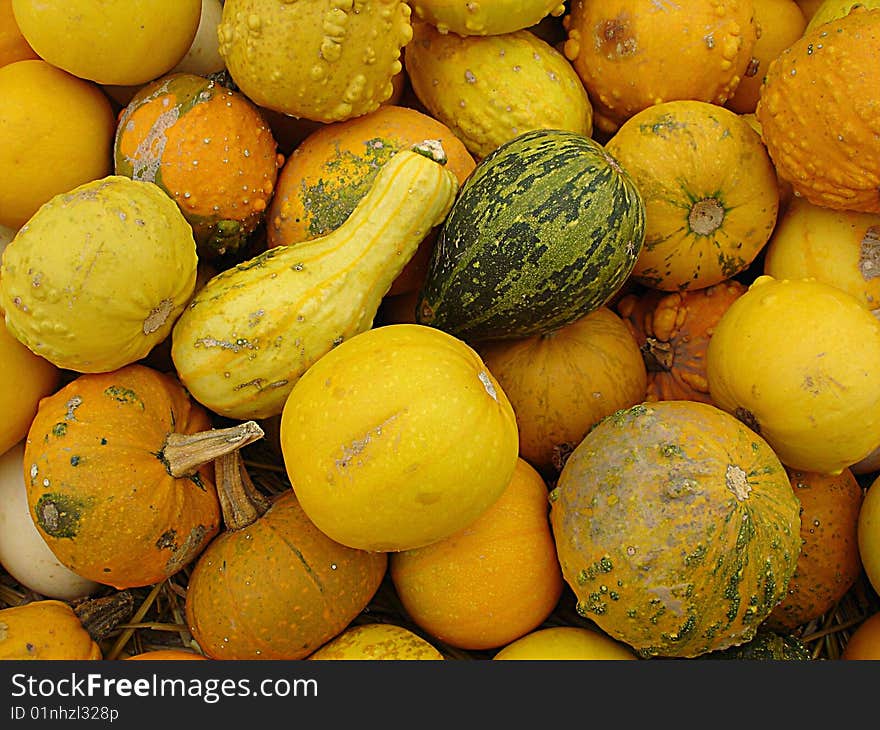 Gourds