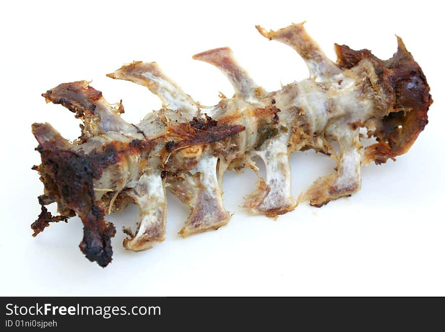 Clean cooked lamb spine bone isolated on white