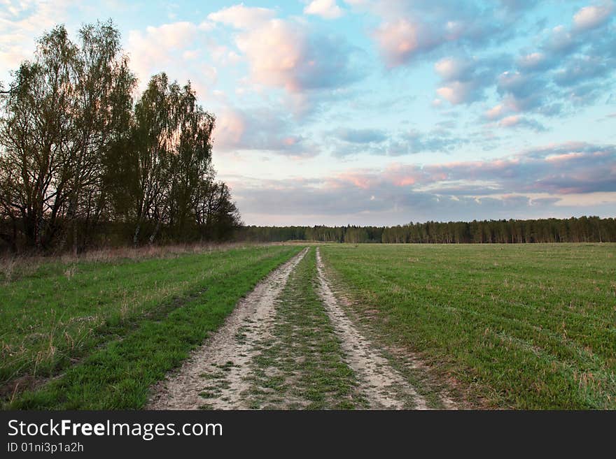 Rural road near to a field. Rural road near to a field