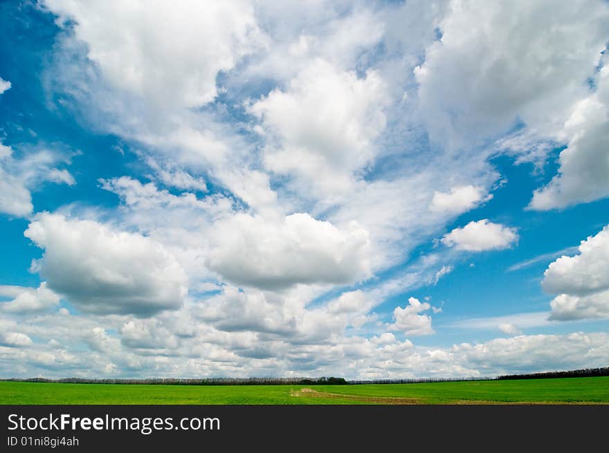 Background of cloudy sky and grass. Background of cloudy sky and grass