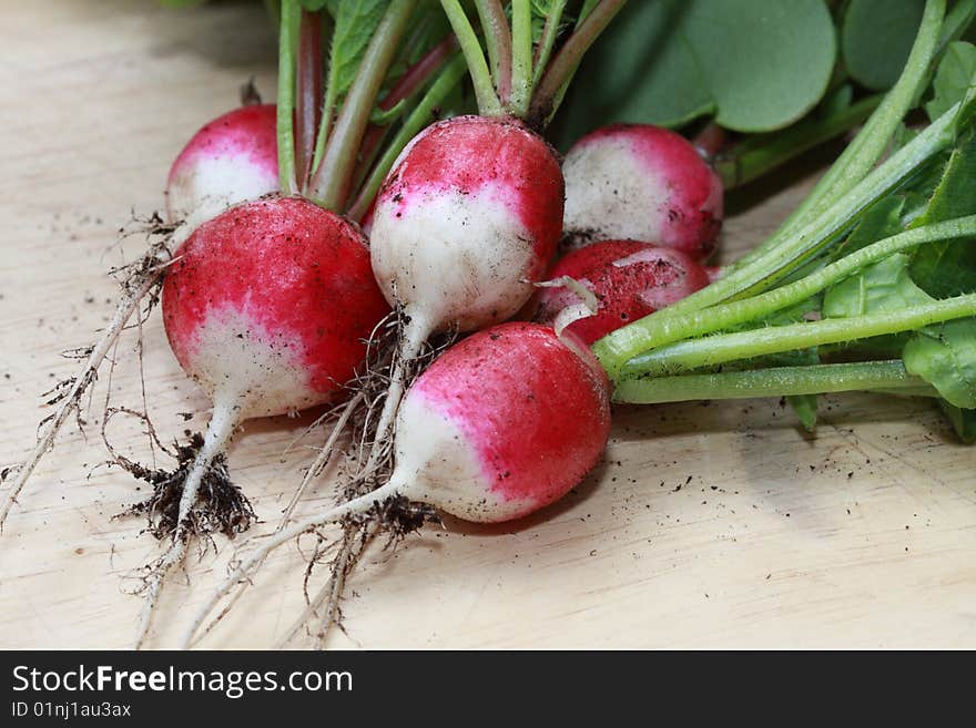 Freshly picked radishes on a chopping board. Freshly picked radishes on a chopping board