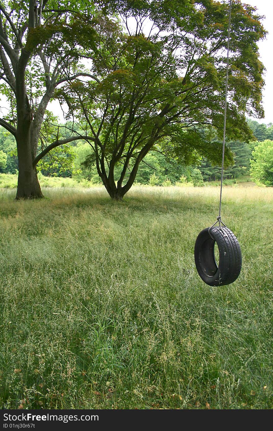 Old swing made with a wheel hanging from a tree.