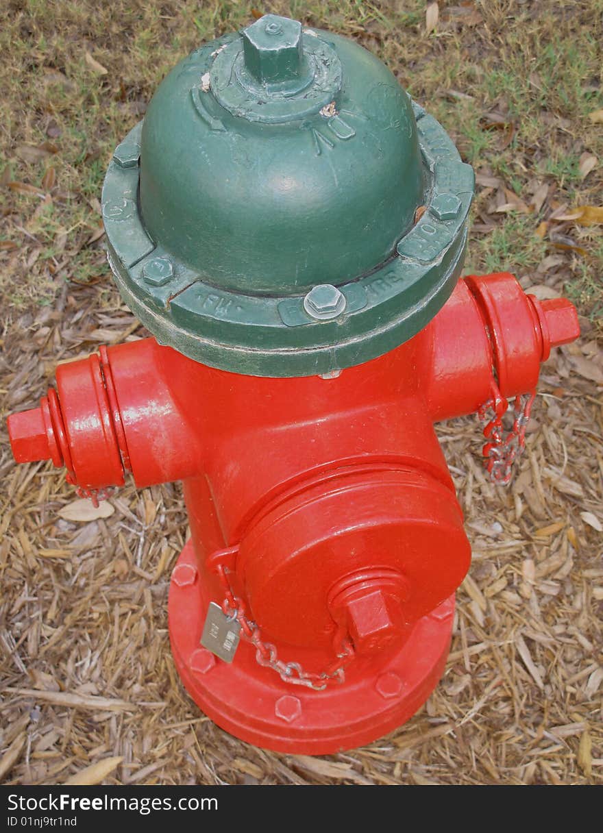 Red and green fire hydrant on condo grounds (Florida).