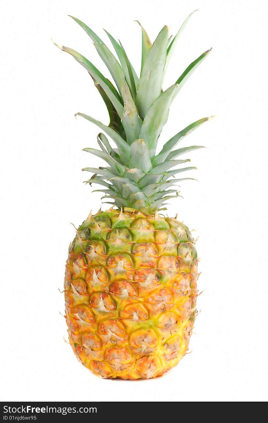 Pineapple Fruit.