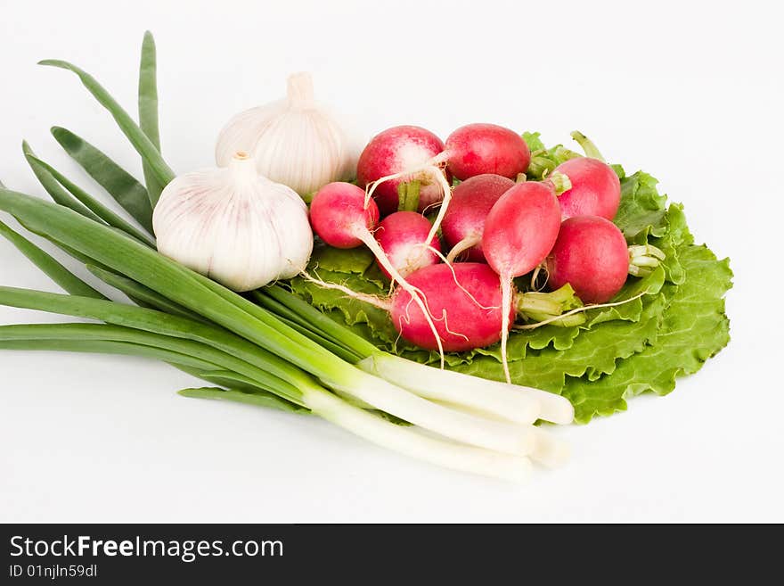 Spring onions, garlic, lettuce and radish