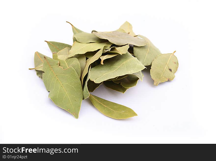 Lots of bay leaves on white background. Lots of bay leaves on white background