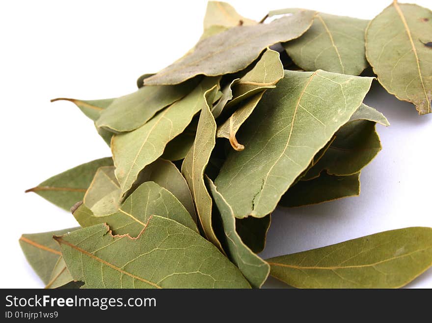 Lots of bay leaves on white background. Lots of bay leaves on white background